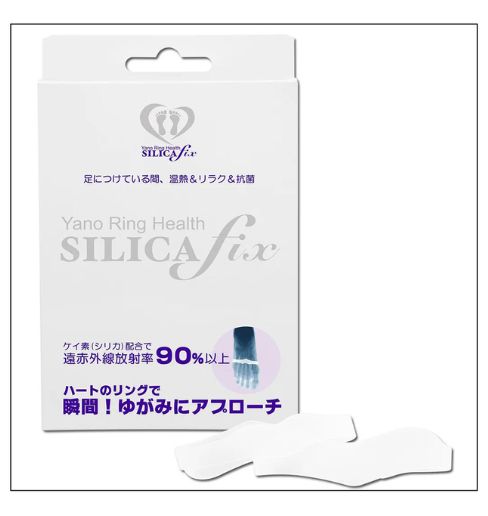 シリカフィックス２L